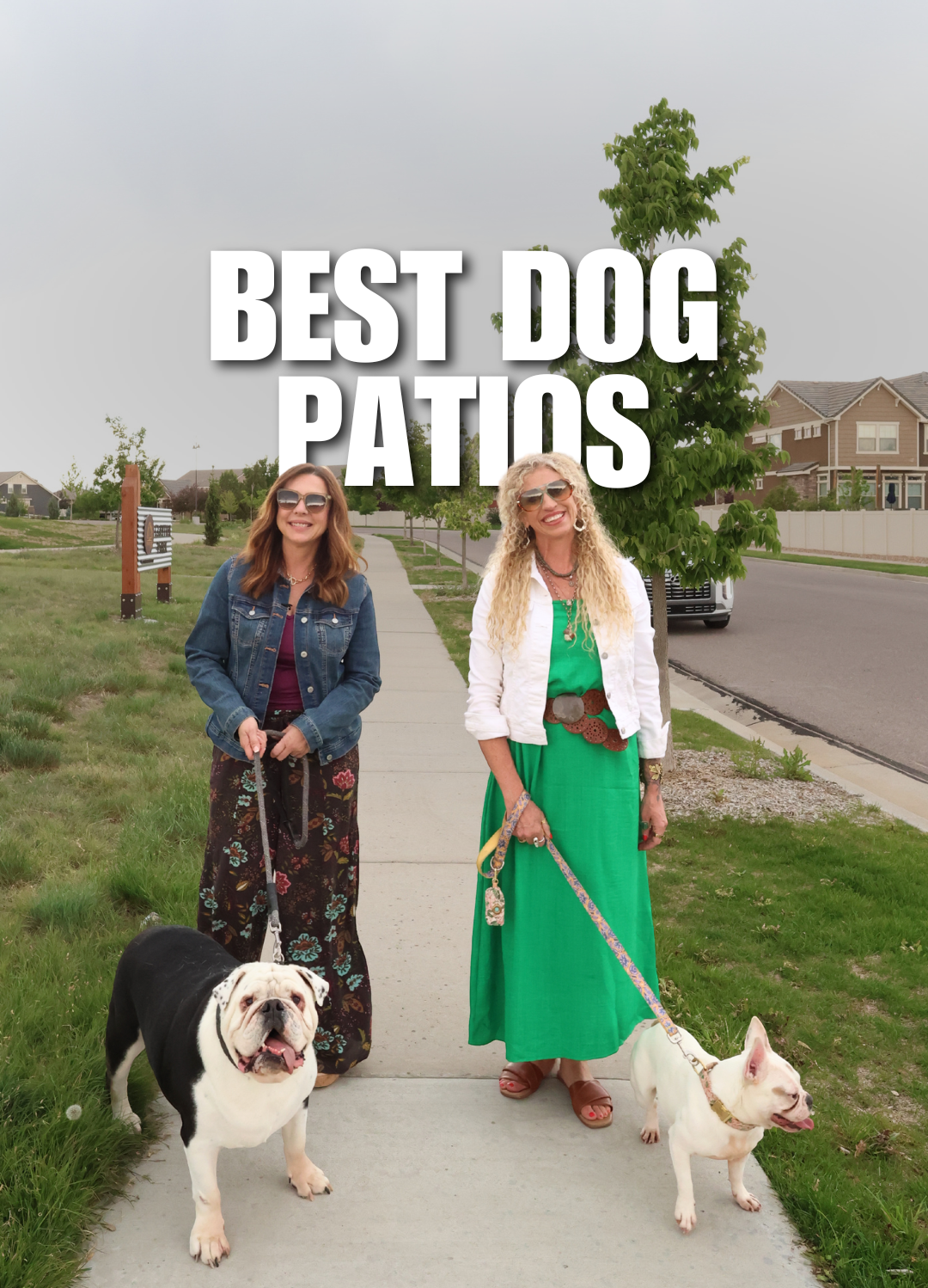 Jessica and Misti walking their dogs along a neighborhood sidewalk to highlight dog-friendly patios in Northern Colorado.
